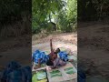 yeh ki nagin 🤣 #funny #prank #reels #justfunnyvideo