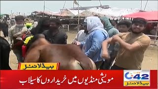 Buyers crowds in Cattle Market 2am News Headlines | 19 July 2021 | City 42