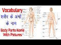 Body Parts Name with Picture and Hindi Meaning !! ENGLISH VOCABULARY !!