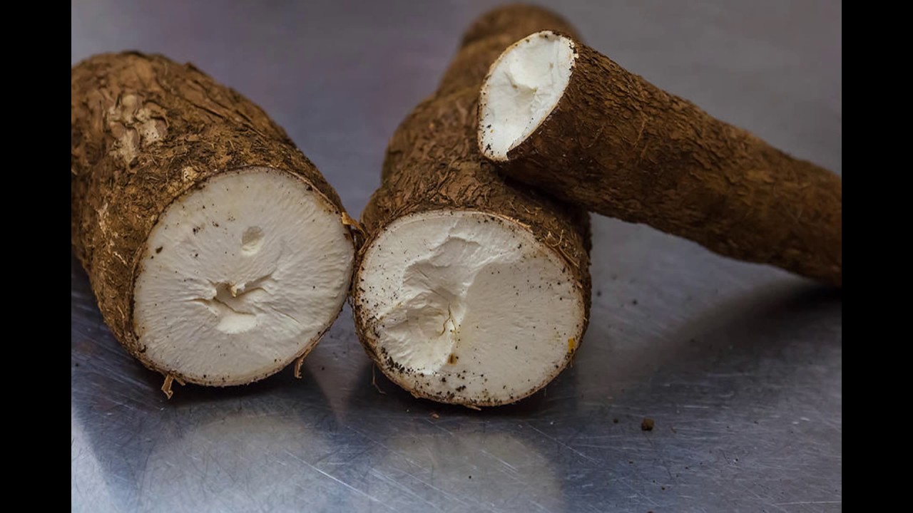 EDIBLE ROOTS 4 YouTube edible-roots-4-youtube