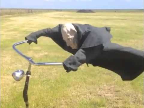 ПУГАЛО ОГОРОДНОЕ