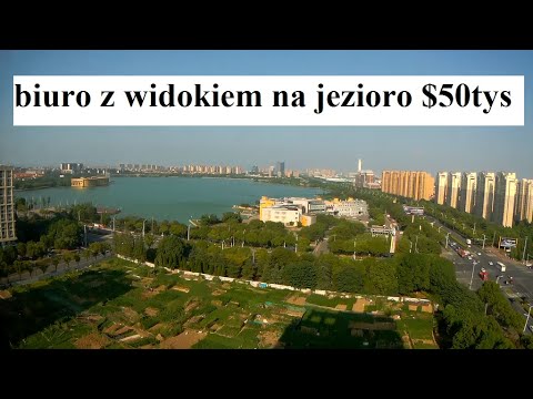 Wideo: Biuro Z Widokiem