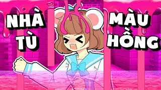 Mèo Simmy Thử Thách 24H 🌷Thoát Khỏi Nhà Tù AXIT Màu Hồng🌷 Trong Minecraft