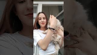 ахахах #tiktok #shortsvideo #subscribe #рекомендации