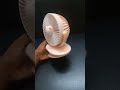 Clip Fan