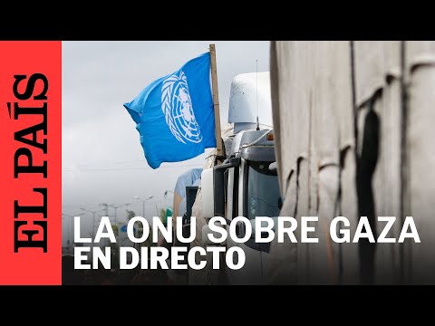 DIRECTO | La ONU informa sobre las crisis humanitarias en el mundo, con especial atención en Gaza