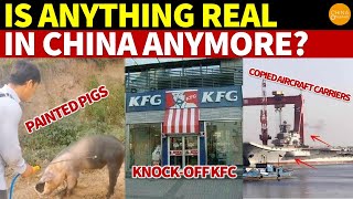 Painted Pigs, Knockoff KFC, Fake CocaCola, Copied Carriers: Is Anything Real in China Anymore?