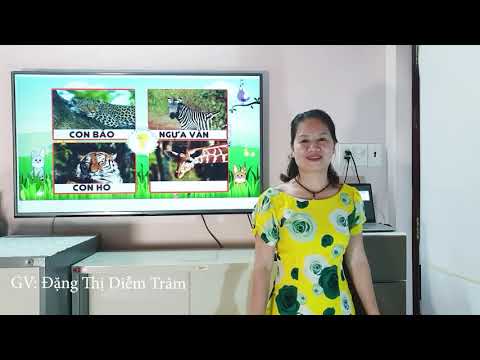 Bài giảng trực tuyến Thứ tư ngày 29/04/2020 Môn Tiếng Việt Lớp 2 - Bài: Ôn tập Giữa HKII - Tuần 27.