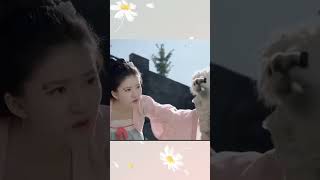 Zhao lusi so funny#snowdrop #cdrama #kpop #enhypen #zhaolusi