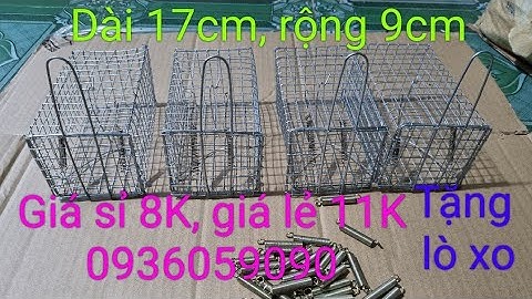 Bán lồng bẫy chuột đồng, bẫy chuột đường mòn, bẫy chuột không cần mồi. ĐT 0936059090, ship toànquốc