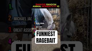 Animal Random Moments PT.10 #funny #pets #dog #cute #laugh #family #fail #memes #cat #smile