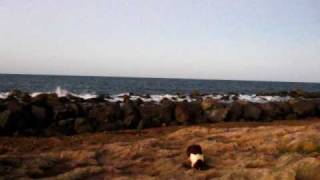 MVI_2676.AVI