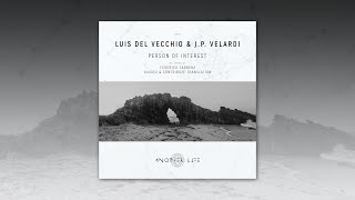 Luis Del Vecchio Jp Velardi - Person Of Interest Original Mix Another Life Music