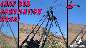 Carp Run COMPILATION 2022! PART 32!