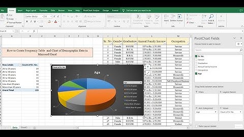 How to Create Frequency Table  and Chart of Demographic Data in Microsoft Excel ?