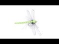 Tying a DamselFly with Bram van Houten