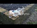 Lingkungan kreatif SMK N 1 AIR PUTIH