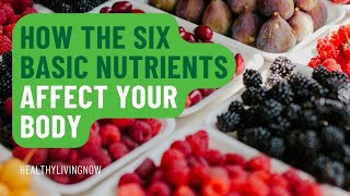 How The Six Basic Nutrients Affect Your Body