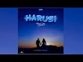 Real Jofu - HARUSI (Official Music Audio) Lyrics