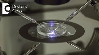Chances of Pregnancy with Surgical Sperm Retrieval-Dr. Sathya Balasubramanyam of Cloudnine Hospitals
