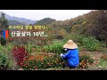 [Sub]  집이 제일 편하고 좋다~!! / It was good to move to the Korean countryside~!!