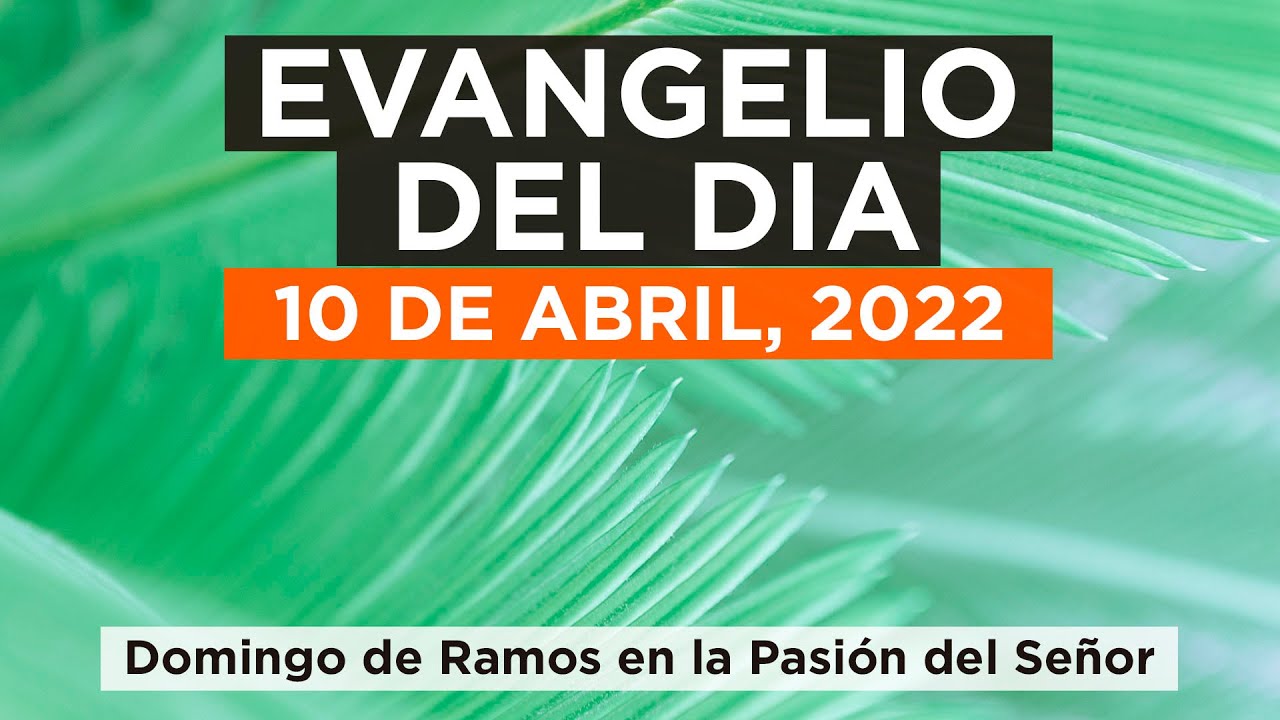 Evangelio Domingo 10 De Abril 2022 www.youtube.com
