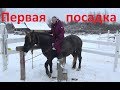 Первая посадка на Пастораль. Междудельчик.