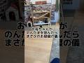 「お昼寝の儀」が強制終了？はちのせいで全員帰宅の悲劇ww #昼寝クラッシャー