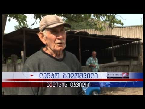 საპროტესტო აქცია წდისში. ადგილობრივები სასმელი წყლის პრობლემის მოგვარებას ითხოვენ