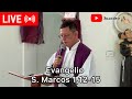 Padre Luis Toro EN VIVO /27-24