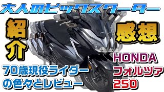 【バイクの紹介】HONDA フォルツァ 250
