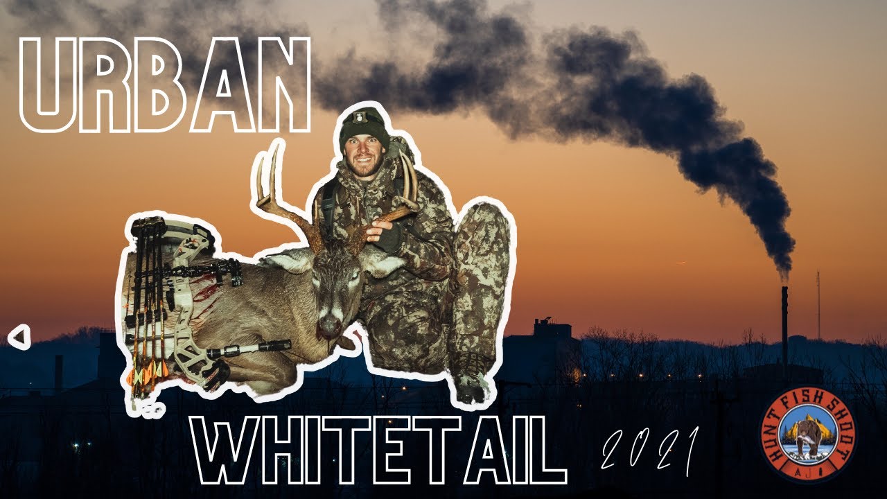 Urban Deer Hunting Ohio Deer Hunting 2021 YouTube