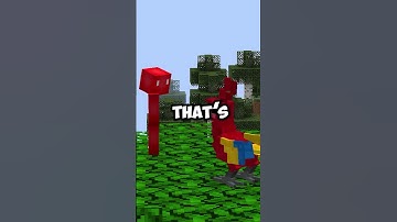 Minecraft Parrots Are Finally Useful! | Mod is MegaParrot by SkylorBeck