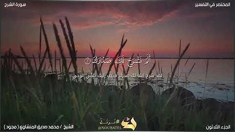 سورة الشرح[الشيخ محمد صديق المنشاوي(مجود)]