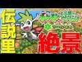 幻のポケモンが大量発生する伝説村に眠っている「最高の宝」とは一体？【ポケモン不思議のダンジョン】