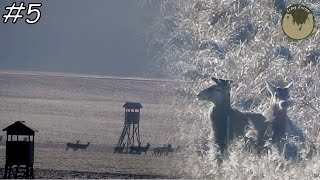 Leśny Zastęp odc. 5  O krok od zrzuta