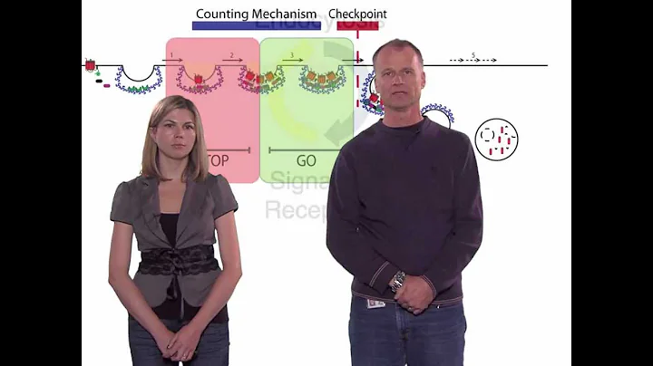 Developmental Cell Henry/Von Zastrow Video Abstract