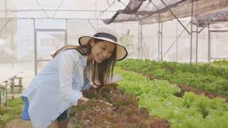 “Japan's Agrarian Revolution: Tradition Meets Innovation”