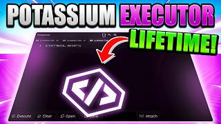 Is Potassium Executor The Best New Executor 100% SUNC/UNC & Undetected (2026)
