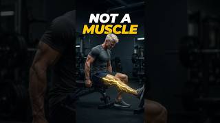 That burning in your leg isn't a tight muscle. ⚡ #mobility #sciaticnerve #shorts