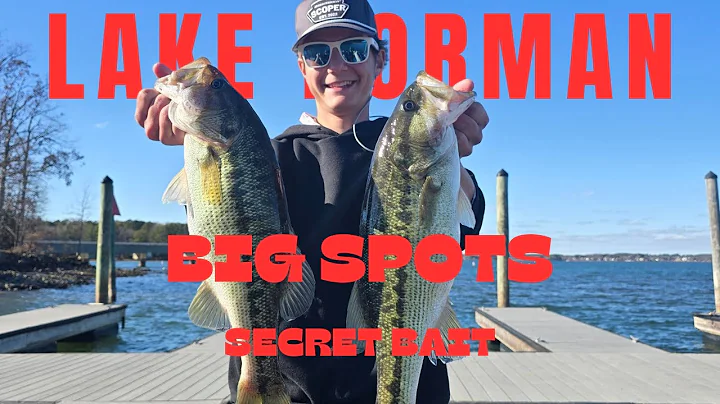 BIG SPOTS WERE CHEWING THIS BAIT  |  Lake Norman Bass Fishing