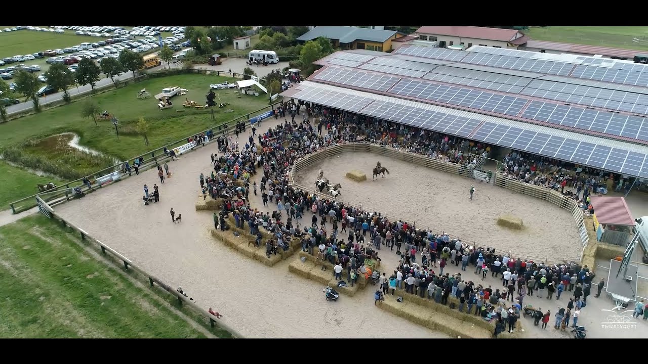 Thüringeti-Auktion 2021 Aftermovie