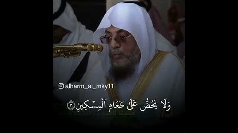 سورة الماعون والنصر للشيخ اسامه خياط