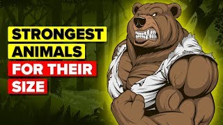 Strongest Animals for Their Size and Their Abilities Strongest Animals for Their Size and Their Abilities