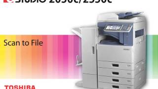 Scan to File