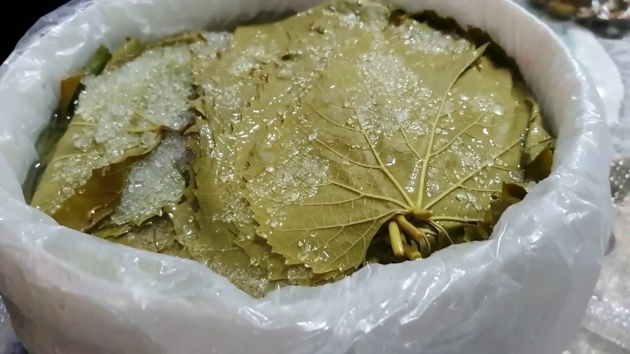 افضل طريقة لتخزين ورق العنب👍😍