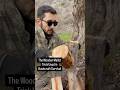 The Wooden Mallet Trick Used in Bushcraft Survival 🌲🪓🔥