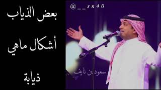 راشد الماجد / الأسد 2022