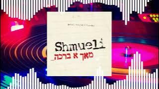 If 'Mach A Bracha!' by Shmueli Ungar was on the radio