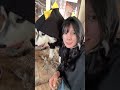 やっぱり可愛い☺️犬の洋服はアリエクが一番多いからみんなも探してみてね☺️これでドッグランでも行くか〜‼️
